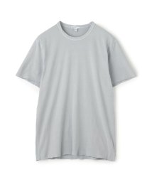 JAMES PERSE(JAMES PERSE)/ブラッシュドコットンジャージー クルーネックTシャツ MRBJ3479/15グレー