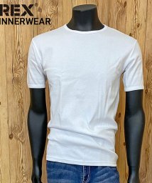 TopIsm(トップイズム)/AVIREX アビレックス Tシャツ メンズ 半袖 テレコリブ クルーネックTシャツ 無地 デイリーインナー カットソー/ホワイト