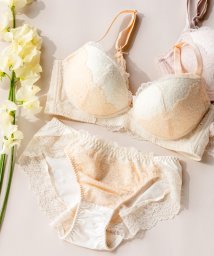 fran de lingerie/StyleUpWireless foogy lace スタイルアップワイヤレスフォギーレース ブラ&ショーツセット B65－G75カップ/505271259