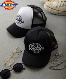 Dickies/Dickies Urethane mesh CAP C type/505258968