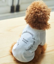 ROPE PICNIC PASSAGE(ロペピクニック パサージュ)/【DOG】リンクコーデ/photo&logo Tシャツ/オフホワイト（15）
