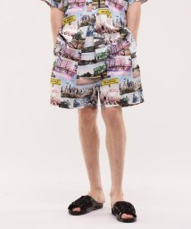 MANASTASH/MANASTASH/マナスタッシュ/MANALOHA SHORTS/マナロハショーツ/505279261