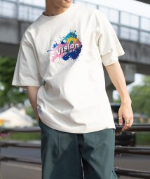 VISION STREET WEAR(ヴィジョン ストリート ウェア)/【VISION STREET WEAR／ヴィジョンストリートウェア】スプラッシュロゴ刺繍Tシャツ/ビッグシルエット/オフホワイト