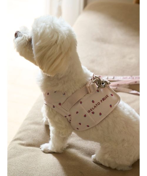 GELATOPIQUECAT & DOG 【CAT & DOG】【販路限定商品】モチーフ柄ハーネス PNK L GELATOPIQUECAT & DOG 【CAT & DOG】【販路限定商品】モチーフ柄ハーネス PNK L