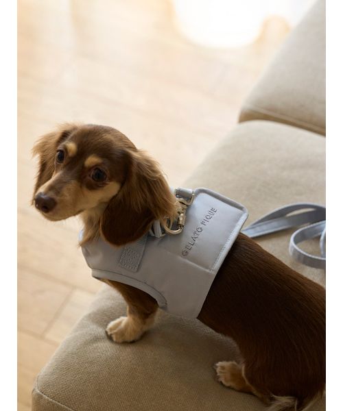 GELATOPIQUECAT & DOG 【CAT & DOG】【販路限定商品】ハーネス BLU M GELATOPIQUECAT & DOG 【CAT & DOG】【販路限定商品】ハーネス BLU M