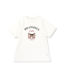 BRANSHES(ブランシェス)/【Cat's ISSUE】ネコプリント半袖Tシャツ（おとな）/オフホワイト