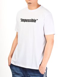 LUXSTYLE(ラグスタイル)/Impossibleロゴプリント半袖Tシャツ/Tシャツ メンズ レディース 半袖 ロゴ プリント 英字 プリントTシャツ/ホワイト