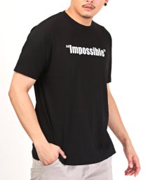 LUXSTYLE/Impossibleロゴプリント半袖Tシャツ/Tシャツ メンズ レディース 半袖 ロゴ プリント 英字 プリントTシャツ/505280130