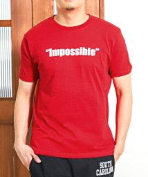 LUXSTYLE(ラグスタイル)/Impossibleロゴプリント半袖Tシャツ/Tシャツ メンズ レディース 半袖 ロゴ プリント 英字 プリントTシャツ/レッド