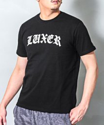 LUXSTYLE/LUXE/R(ラグジュ)立体ロゴプリント半袖Tシャツ/Tシャツ メンズ レディース 半袖 ロゴ プリント 春夏/505280134