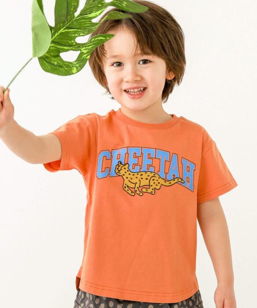 SLAP SLIP(スラップスリップ)/アニマルパッチ半袖Tシャツ(80~130cm)/オレンジ（チーター）