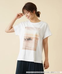 Leilian/プリントTシャツ【BIANCA LANCIA】/505237165