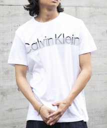Calvin Klein(カルバンクライン)/【CALVIN KLEIN / カルバンクライン】トップス Tシャツ 半袖 プリント ロゴ クルーネック カットソー コットン100% 40IC840/ホワイト
