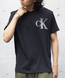 Calvin Klein(カルバンクライン)/【CALVIN KLEIN / カルバンクライン】ロゴ プリントT Tシャツ 半袖 40IC841 父の日 ギフト プレゼント 贈り物/ブラック 