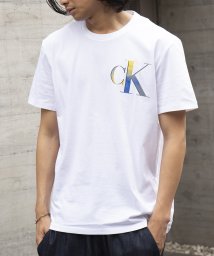 Calvin Klein(カルバンクライン)/【CALVIN KLEIN / カルバンクライン】ロゴ プリントT Tシャツ 半袖 40IC841 父の日 ギフト プレゼント 贈り物/ホワイト