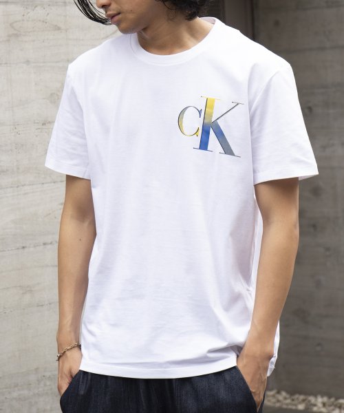 セール】【CALVIN KLEIN カルバンクライン】ロゴ プリントT Tシャツ 半袖 40IC841 父の日 ギフト プレゼント  贈り物(505278123) カルバンクライン(Calvin Klein) MAGASEEK