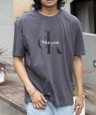 Calvin Klein/【CALVIN KLEIN / カルバンクライン】トップス Tシャツ 半袖 プリント ロゴ モノグラム　ワンポイント クルーネック カットソー 40HM236/505278124