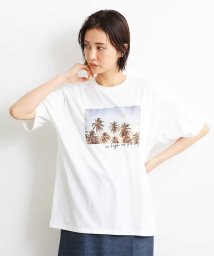 MICHEL KLEIN(ミッシェルクラン)/パームツリーフォトプリントTシャツ/ホワイト（90）