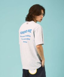 ABAHOUSE(ABAHOUSE)/【DICKIES/ディッキーズ】ポケットTシャツ / remind meバックプ/グレー