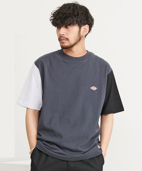 SB Select(エスビーセレクト)/Dickies 天竺ミニワッペン半袖TEE/その他系1