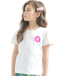 子供服Bee/プリントTシャツ/503337530