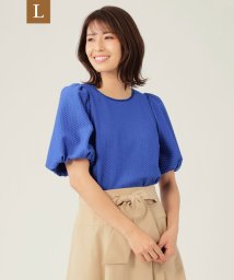 TO BE CHIC(L SIZE)(トゥービーシック Lサイズ)/【L】ジャカード カットソー/サックスブルー