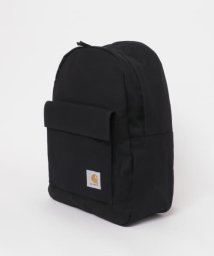 SENSE OF PLACE by URBAN RESEARCH/carhartt　DAWN BACKPACK/505300281
