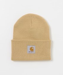 SENSE OF PLACE by URBAN RESEARCH/CARHARTT　ACRYLC WATCH HAT/505300285