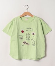 petit main(プティマイン)/【接触冷感】昆虫アップリケ半袖Tシャツ/イエローグリーン
