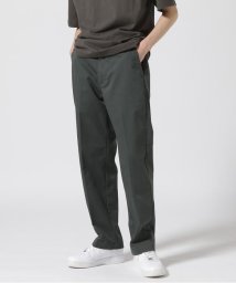 AVIREX/《WEB&DEPOT限定》ANTIFOULING WORK PANTS EXCLUSIVE COLOR / アンチフォーリング ワークパンツ/505306997