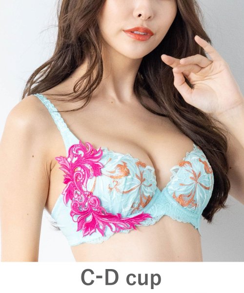 fran de lingerie(フランデランジェリー)/GRACE ist  Rio グレースイストリオ コーディネートブラジャー C65－D75カップ/サックス