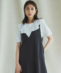 NIJYUSANKU(23区)/【WEB限定】フレアコンビジャージー ラッフルカラー カットソー/ホワイト系