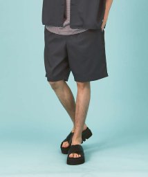 ABAHOUSE(ABAHOUSE)/Dickies/ディッキーズ　WORK SHORT PANTS チノワークショー/チャコールグレー