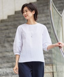 J.PRESS LADIES（LARGE SIZE）(J．プレス　レディス（大きいサイズ）)/【洗える】APESCO ストライプ ボリュームスリーブ ブラウス/ライトグレー系1