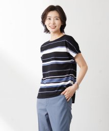 J.PRESS LADIES（LARGE SIZE）(J．プレス　レディス（大きいサイズ）)/パネルボーダー フレンチスリーブ カットソー/ブラック系1