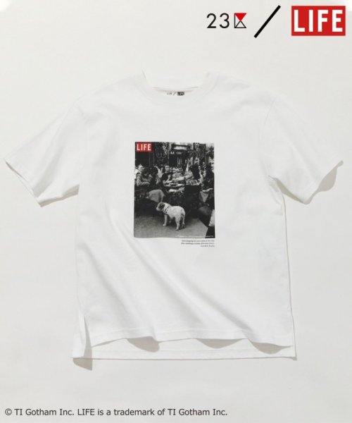 NIJYUSANKU(23区)/【23区/LIFE】PHOTO Tシャツ/ホワイト系（CAFE）