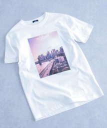 ITEMS URBANRESEARCH(アイテムズアーバンリサーチ（メンズ）)/Box Photo Printed T－shirts/D