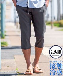 SB Select(エスビーセレクト)/NATURAL STORY 接触冷感レギンスクロップドパンツ ストレッチ/その他