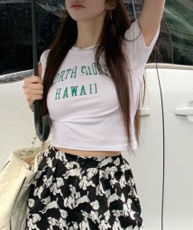 HALEY PESCA(ヘーリーペスカ)/HALEY PESCA/【Y2Kコーデに】【韓国スタイル】ショート丈 アメリカンロゴTシャツ/ホワイト