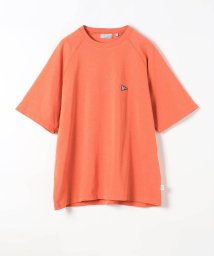 Grand PARK/DISCUS別注ラグランスリーブオーバーTシャツ/505310404