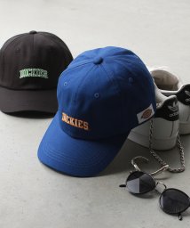 Dickies(Dickies)/Dickies COLLEGE LOGO CAP/ブルー