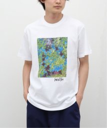 417 EDIFICE(フォーワンセブン　エディフィス)/【BASILHOUSE×417】グラフィック Tシャツ/ホワイト