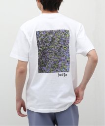 417 EDIFICE/【BASILHOUSE×417】グラフィック Tシャツ/505334541
