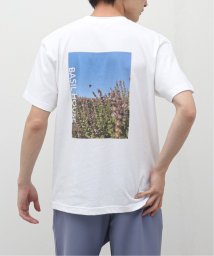 417 EDIFICE(フォーワンセブン　エディフィス)/【BASILHOUSE×417】グラフィック Tシャツ/ホワイトC