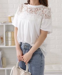 Lace Ladies/レース切替半袖Tシャツ/505328427