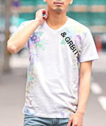 LUXSTYLE/ボタニカルヒョウ柄転写Tシャツ/Tシャツ メンズ 半袖 Vネック ボタニカル レオパード プリント ロゴ 花柄 ヒョウ柄/505345903