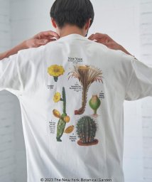 coen(coen)/NY　BotanicalGarden（ニューヨークボタニカルガーデン）プリントTシャツ/WHITE