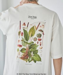 coen(coen)/NY　BotanicalGarden（ニューヨークボタニカルガーデン）プリントTシャツ/その他1