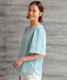 JIYU-KU(LARGE SIZE)(自由区（大きいサイズ）)/【WEB限定・洗える】シャドウサッカー カットソー/ライトグリーン系1