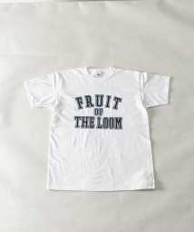 Nylaus/FRUIT OF THE LOOM UNISEX カレッジロゴプリント ショートスリーブTシャツ/505370550